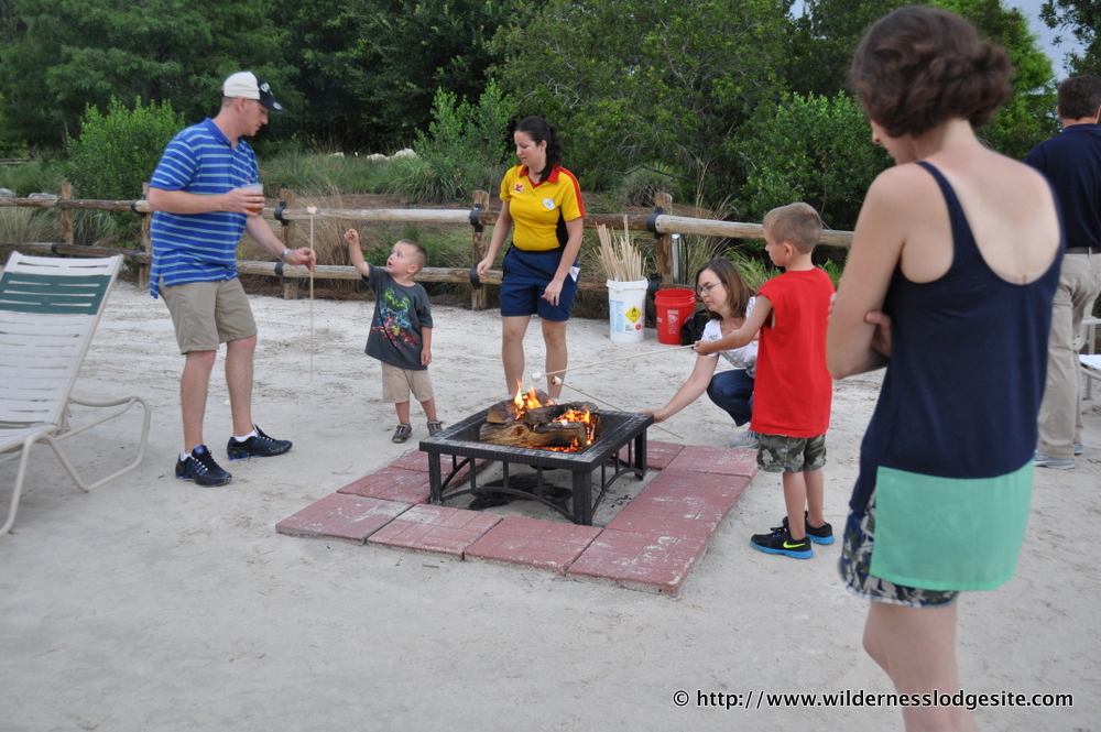 Camp Fire Marshmallow Roast
